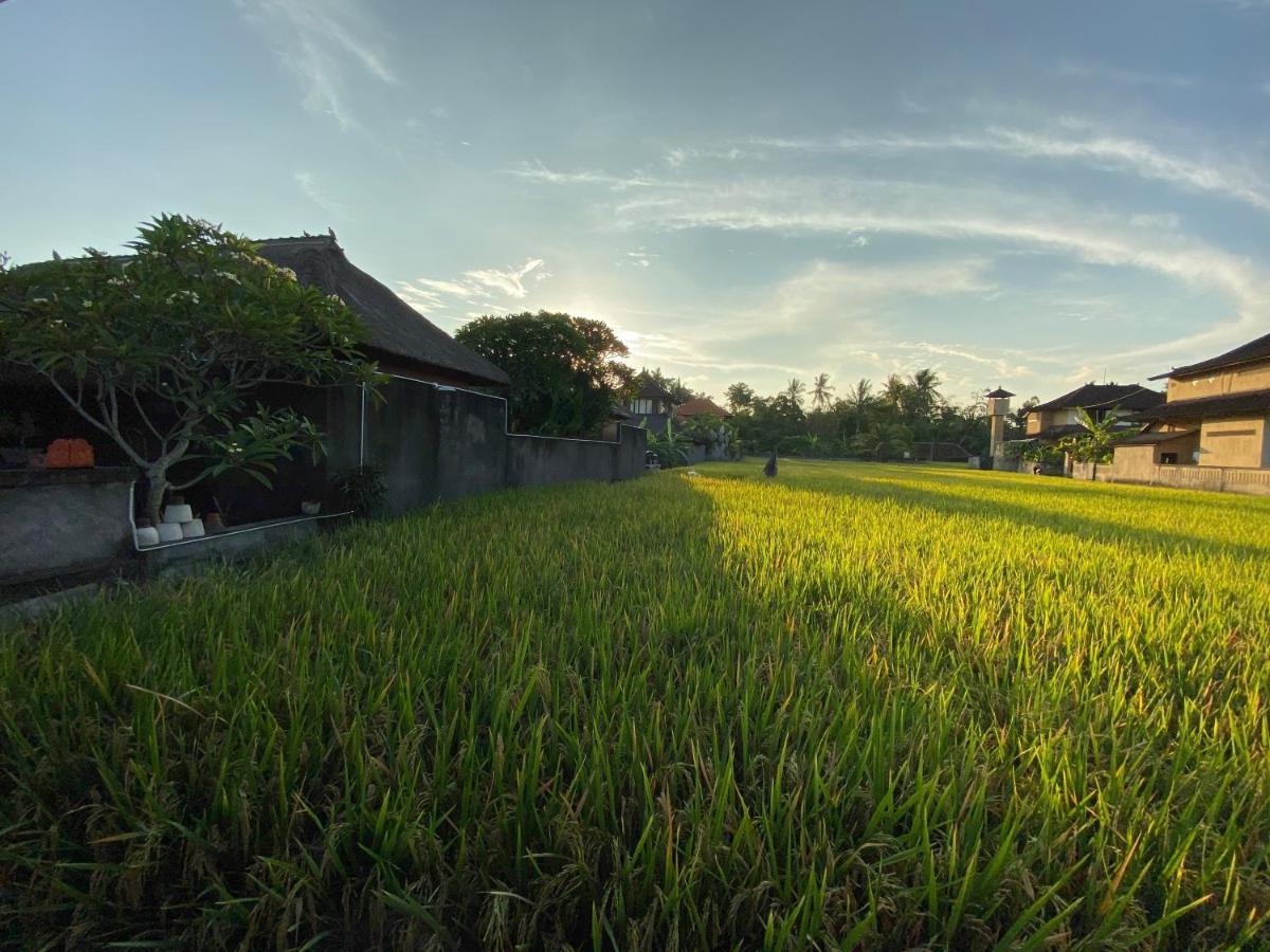 Rumah Dadong Ubud Buitenkant foto